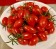小農系列～天然酵素玉女小番茄